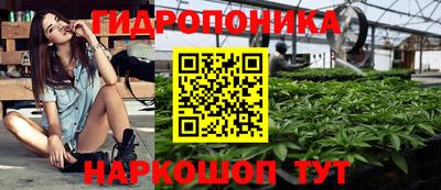 хмурый Белореченск