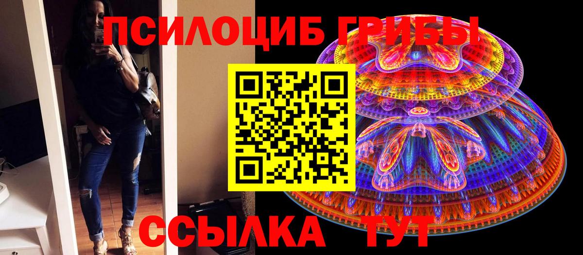 Галлюциногенные грибы Psilocybe Кубинка