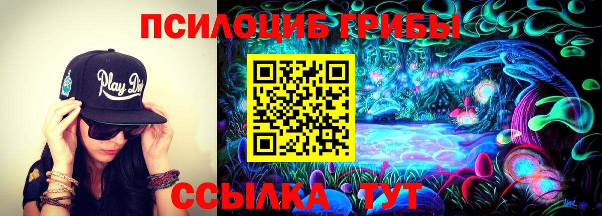 Кубинка  Псилоцибиновые грибы мицелий  Вход с VPN  Псилоцибиновые грибы прущие грибы 